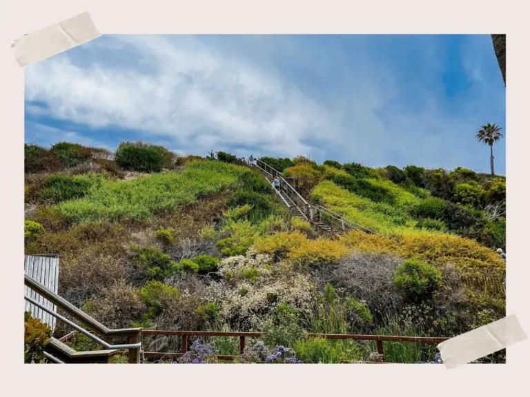 Crystal Cove State Park Trail