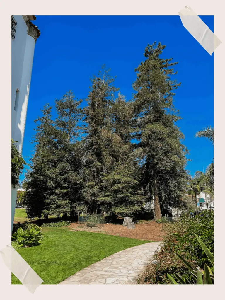 Santa Barbara Courthouse California Redwoods