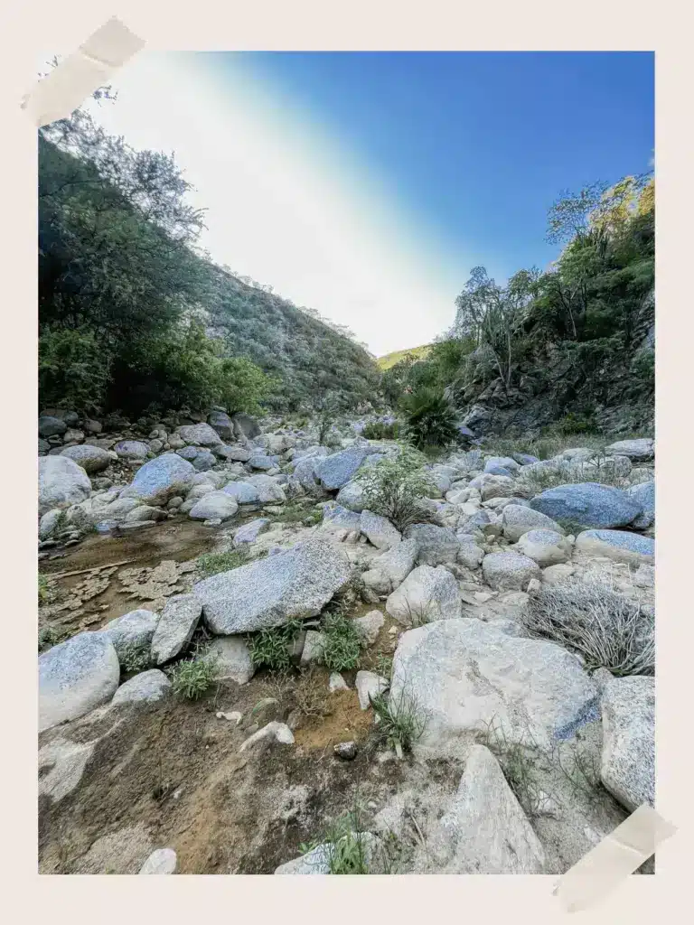 Visit Los Barriles and Hike the Trail to Los Barriles Oasis Waterfall