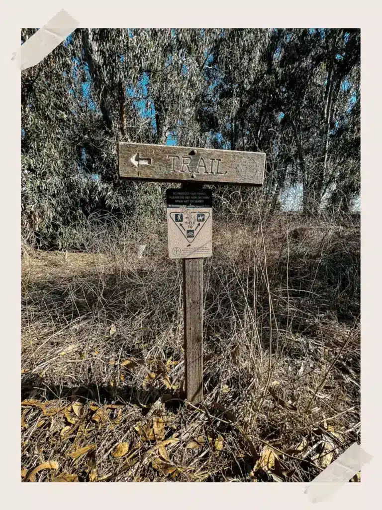 Lookout Point Trail