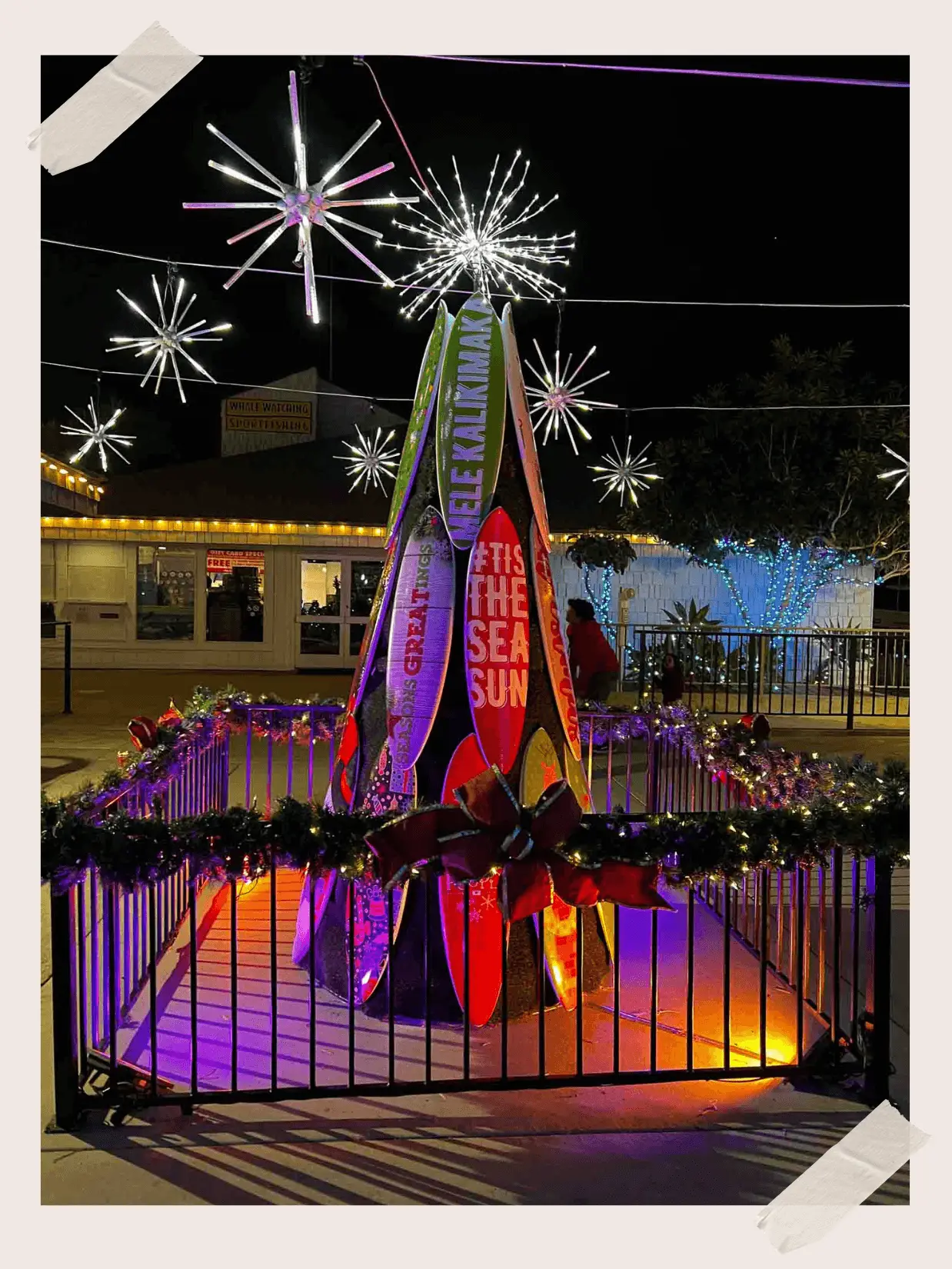 Dana Point Harbor Lights