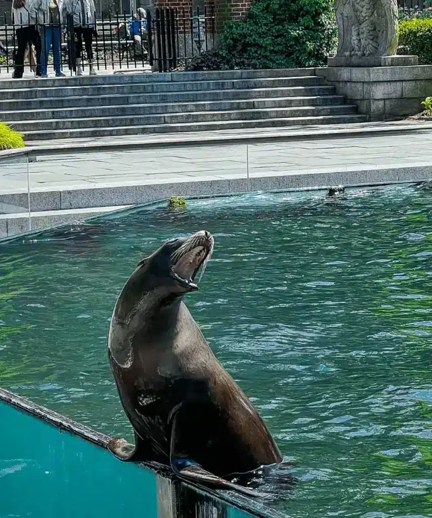 NYC Central Park Zoo