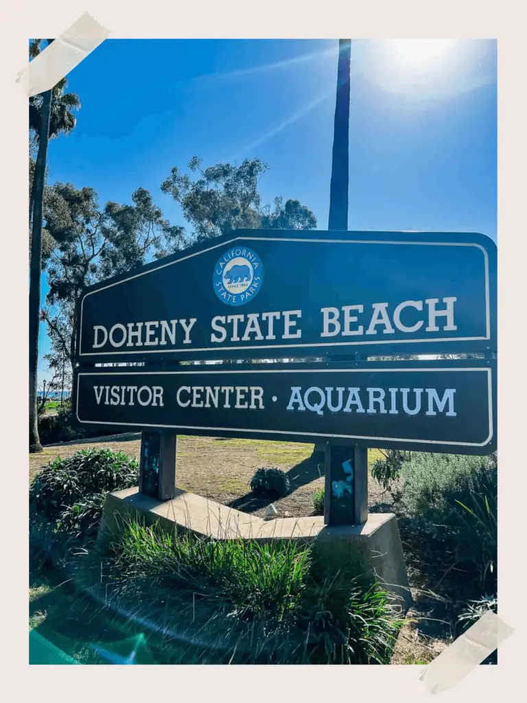 Dana Point Beaches Doheny State Beach