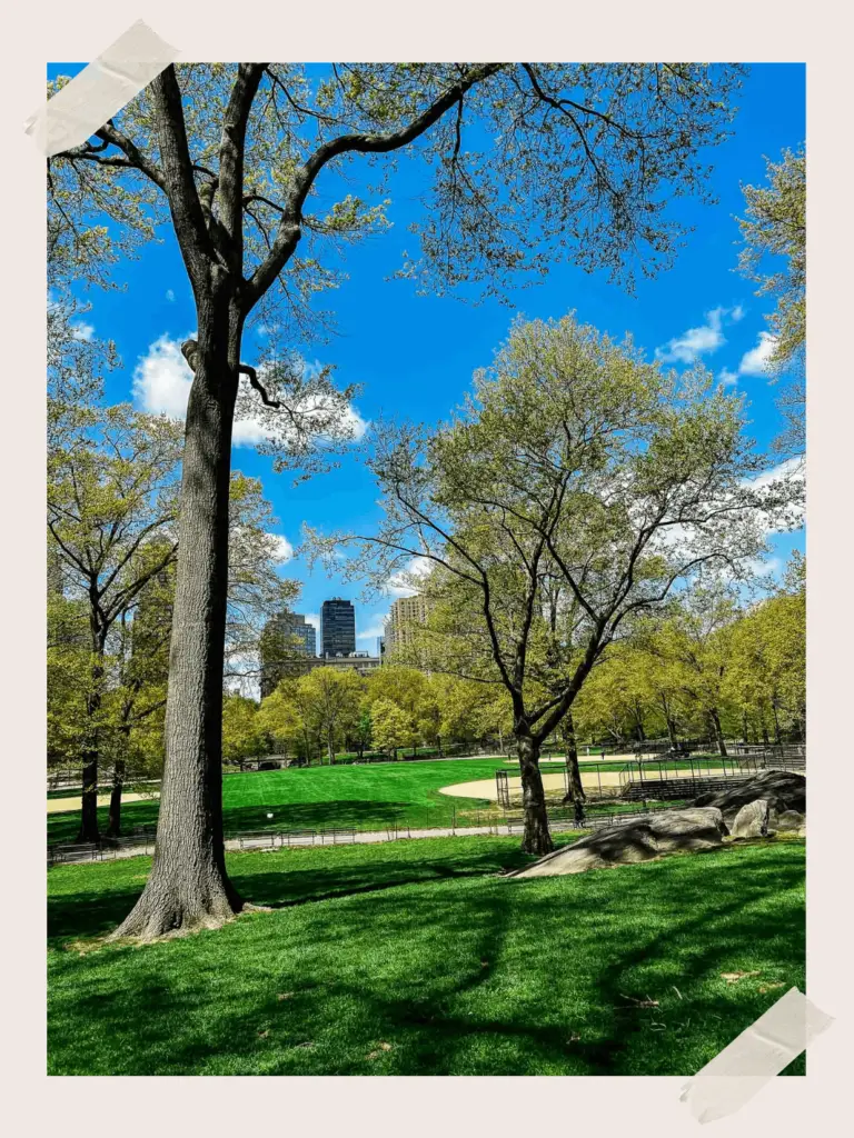 Things to do in Central Park New York City