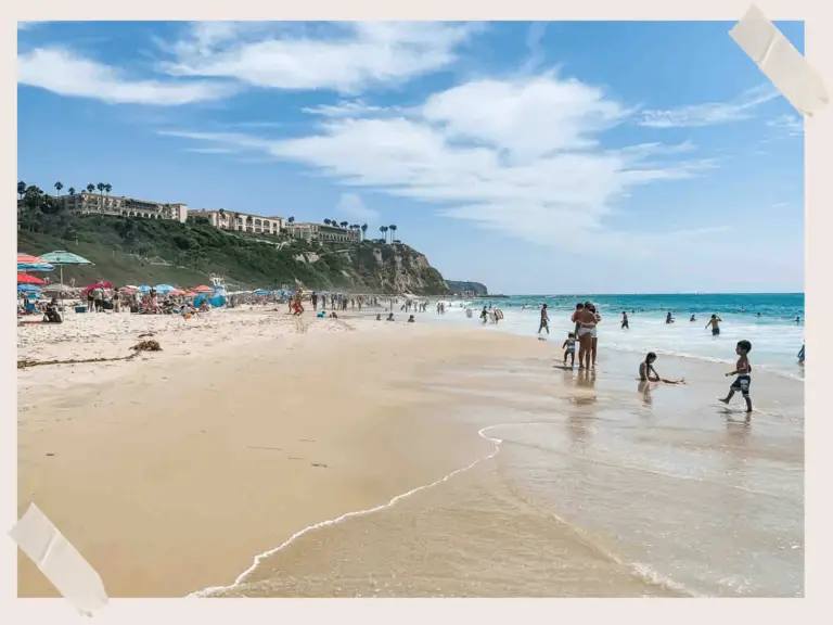 Dana Point Beaches Salt Creek Beach in Dana Point