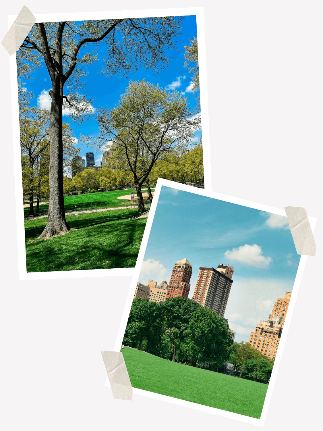 Central Park, Visit Central Park, Things to do in Central Park NYC, Dining in Central Park, Great Lawn in Central Park