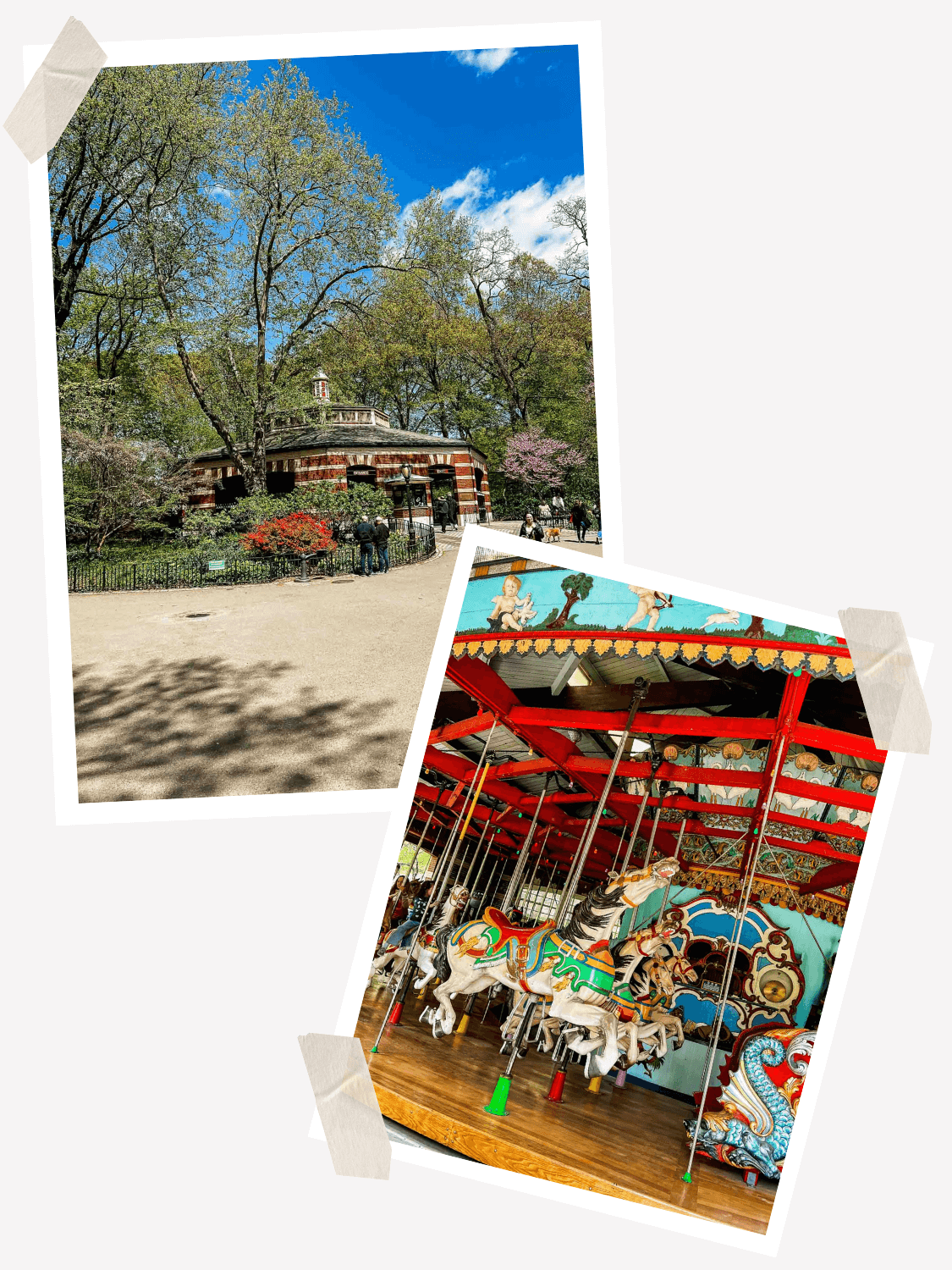 Central Park, Visit Central Park, Things to do in Central Park NYC, Dining in Central Park, Central Park Carousel