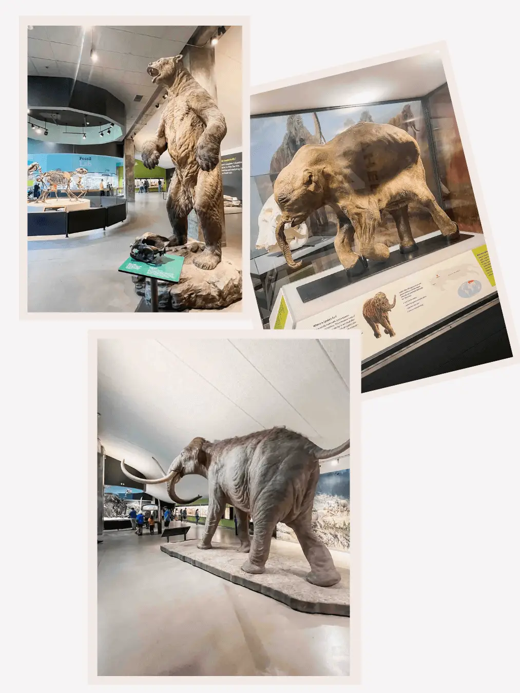 La Brea Tar Pits Museum