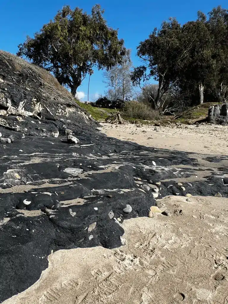 Tar Pits Park Carpinteria