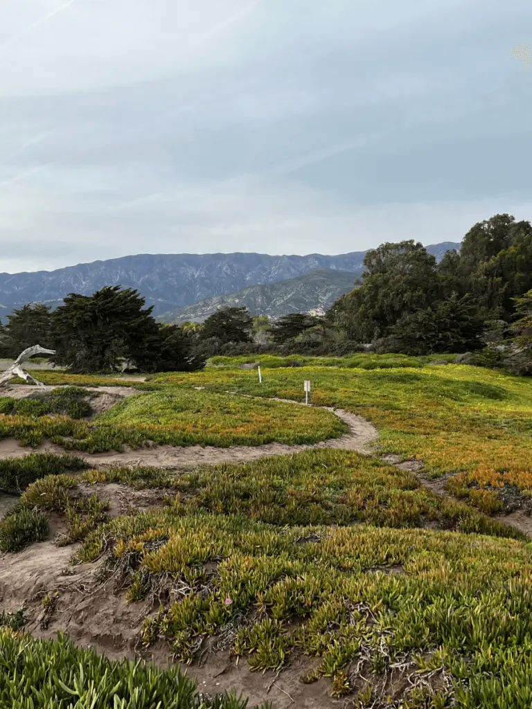 Carpinteria Tar Pits Park