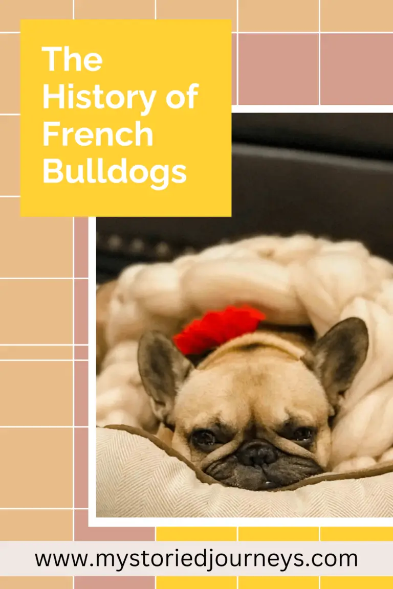 History of French Bulldog