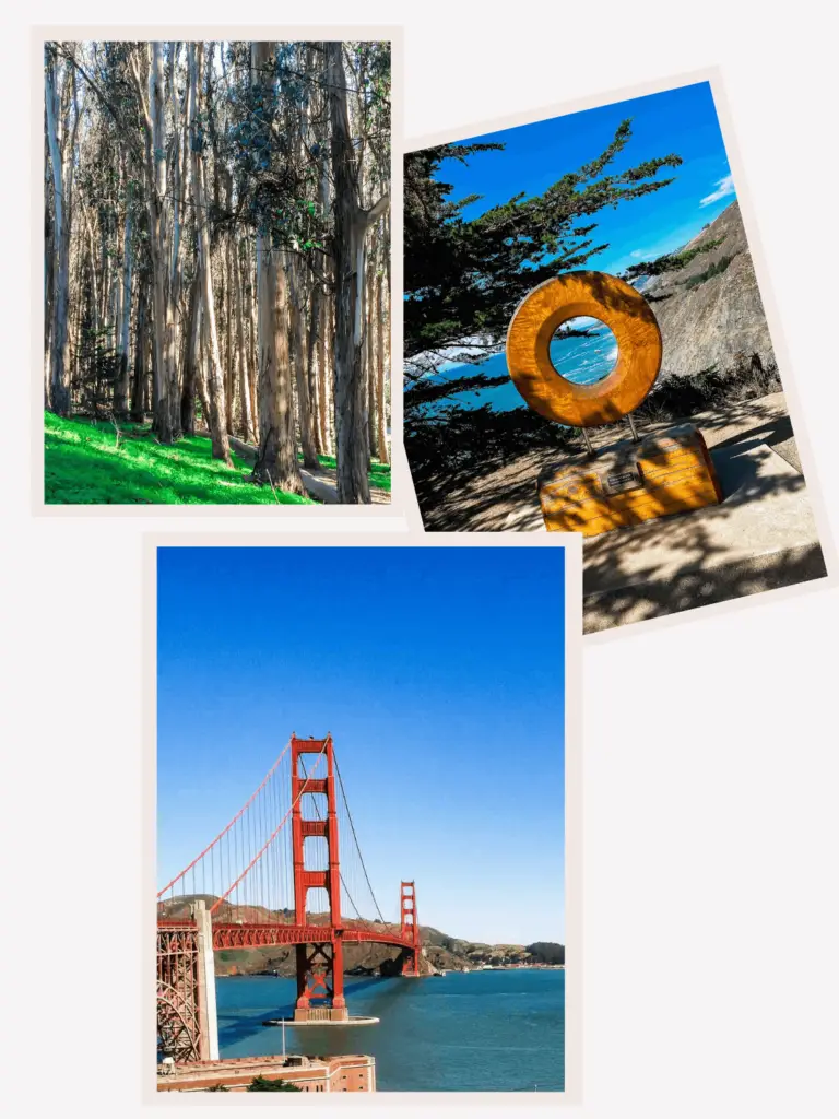 California Travel Guide Northern California