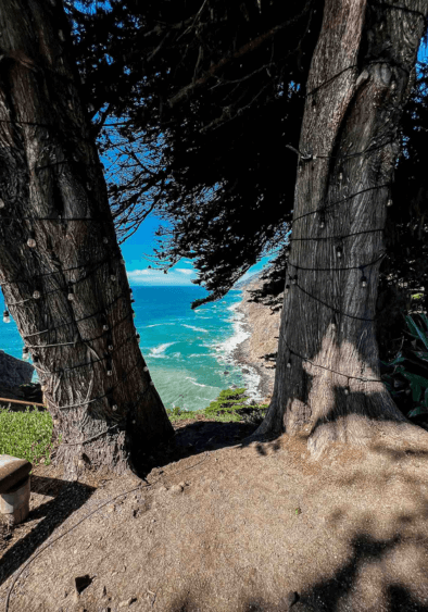 Stunning view of Ragged Point’s cliffs overlooking the sparkling blue ocean on a bright sunny day.