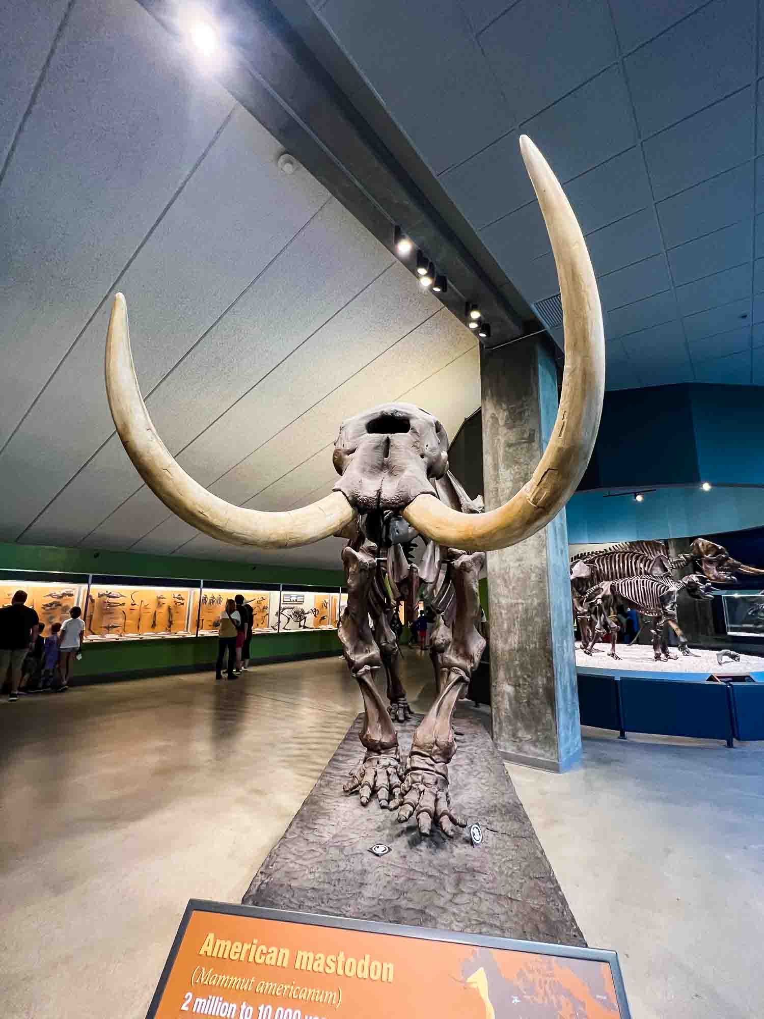 La Brea Tar Pits And Museum Admission