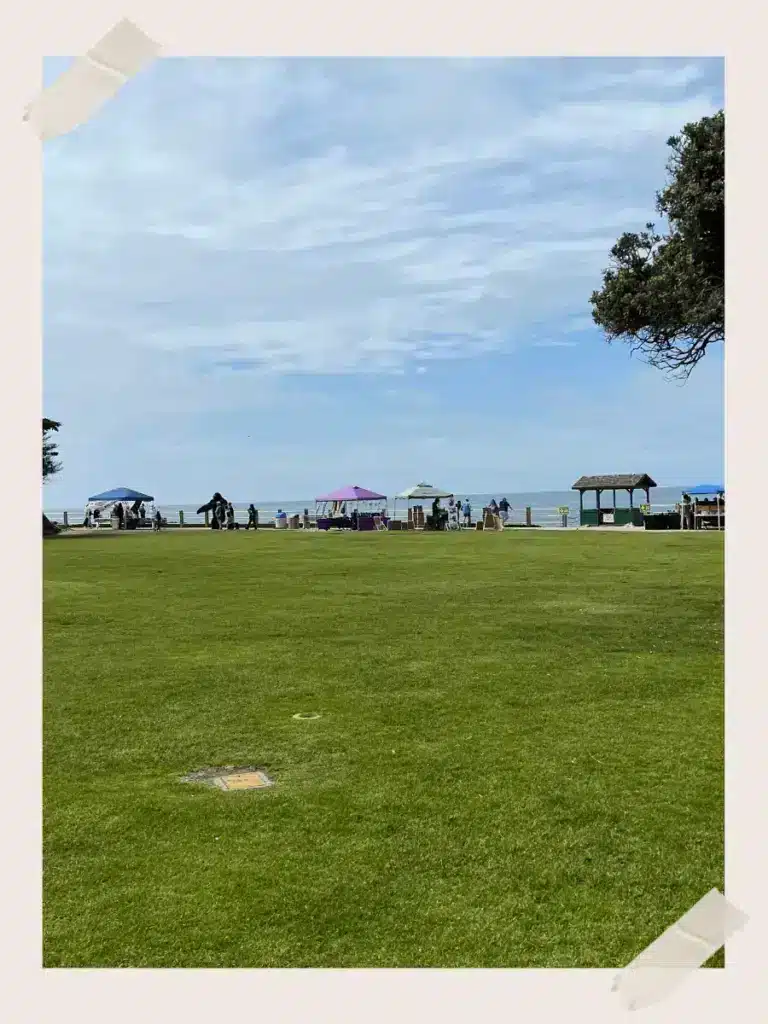 La Jolla Cove grass