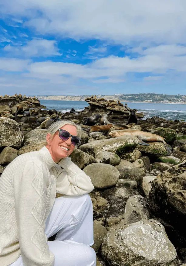 La Jolla Cove Seals