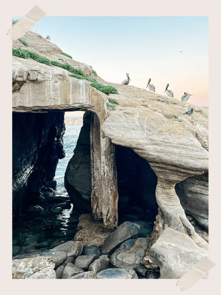 La Jolla Cove Cave