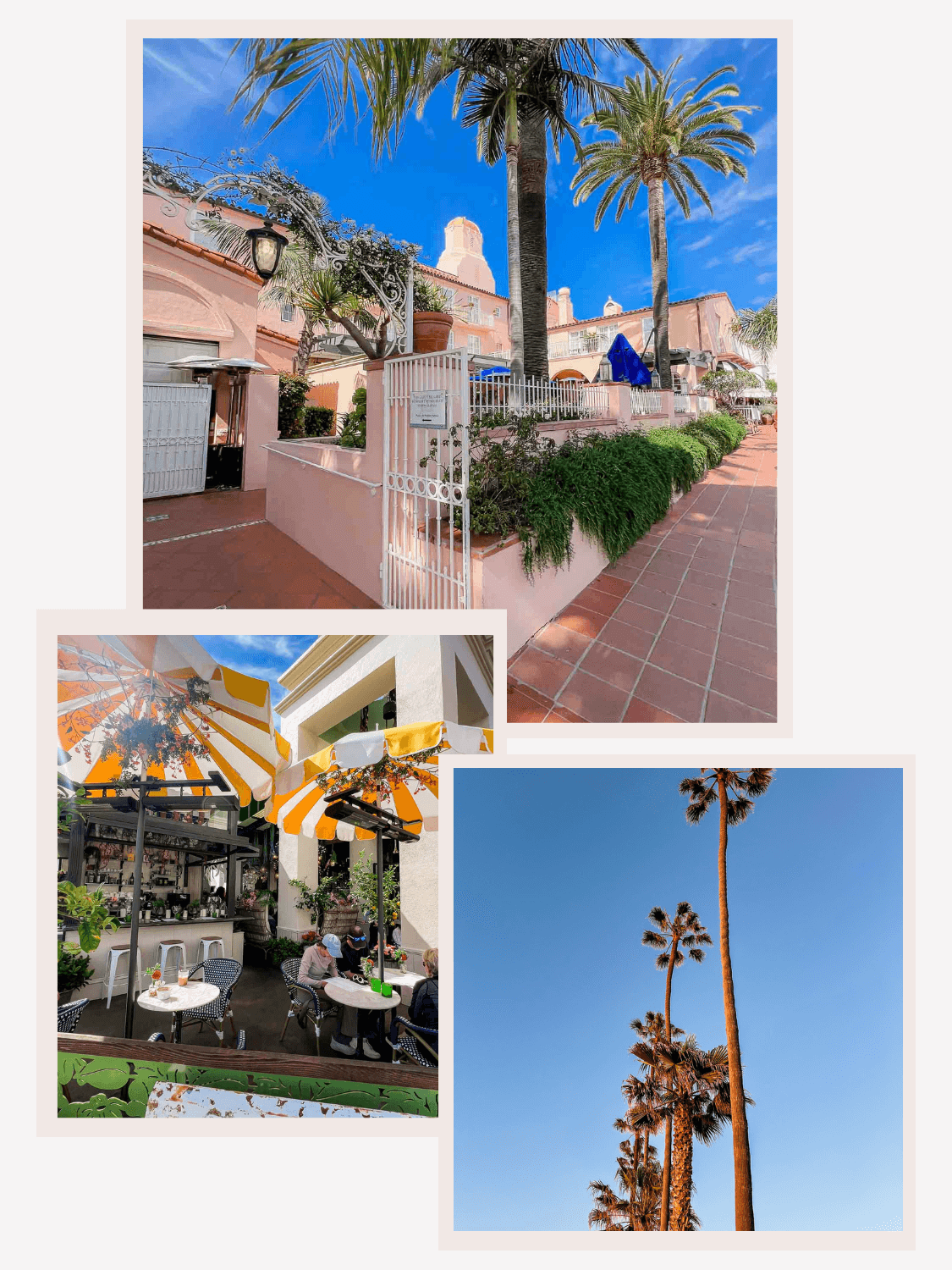 Charming street in La Jolla Village lined with boutique shops, cafes, and palm trees under a sunny sky - collage