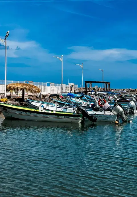 Loreto Harbor