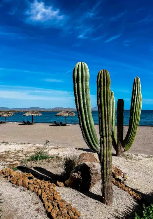 Baja California