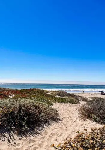 Camping at Jalama Beach