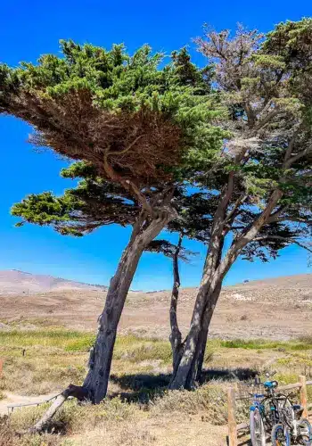 Camping at Jalama Beach