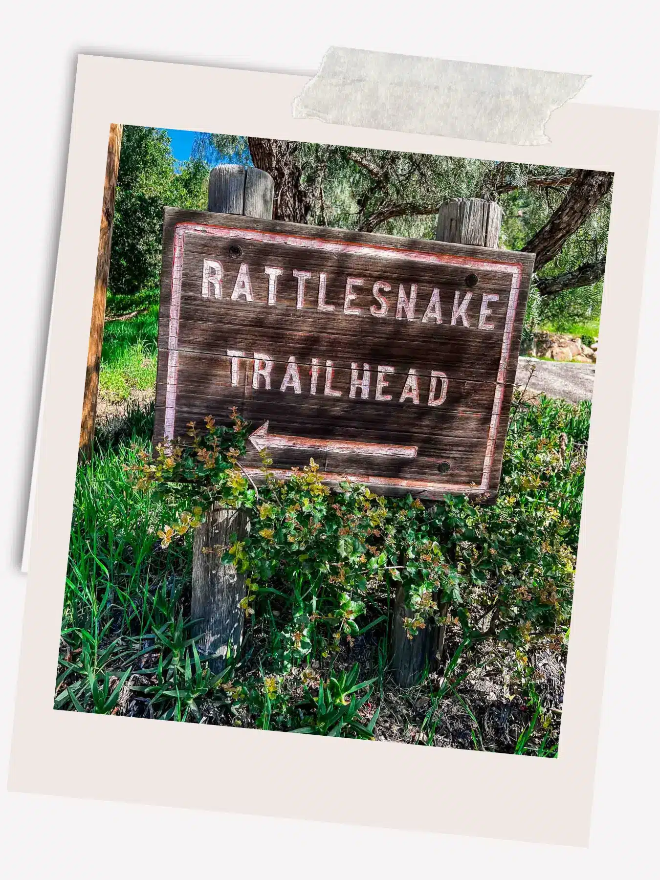 Rattlesnake Trailhead