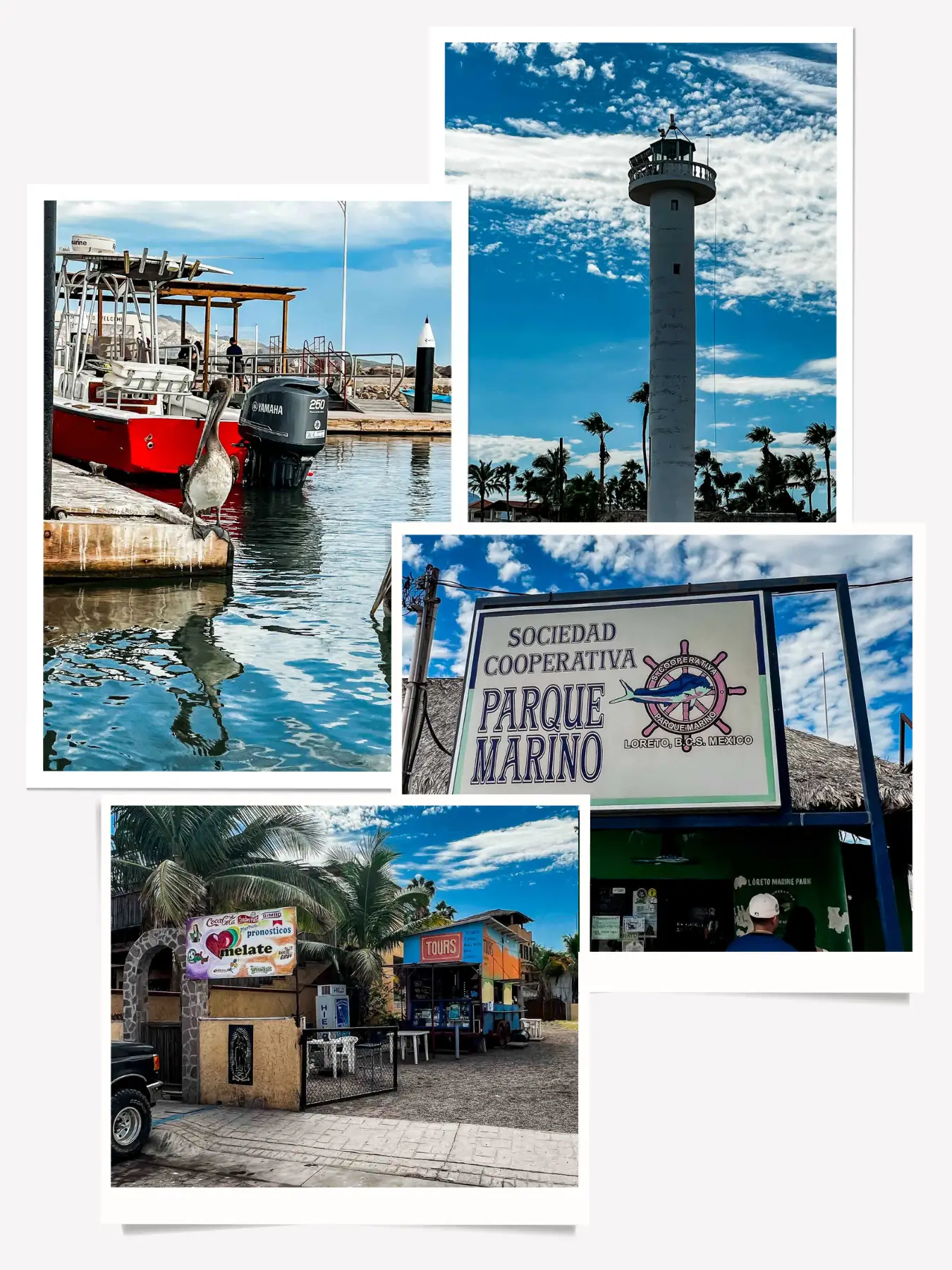 Things to do in Loreto - visit the Loreto Harbor