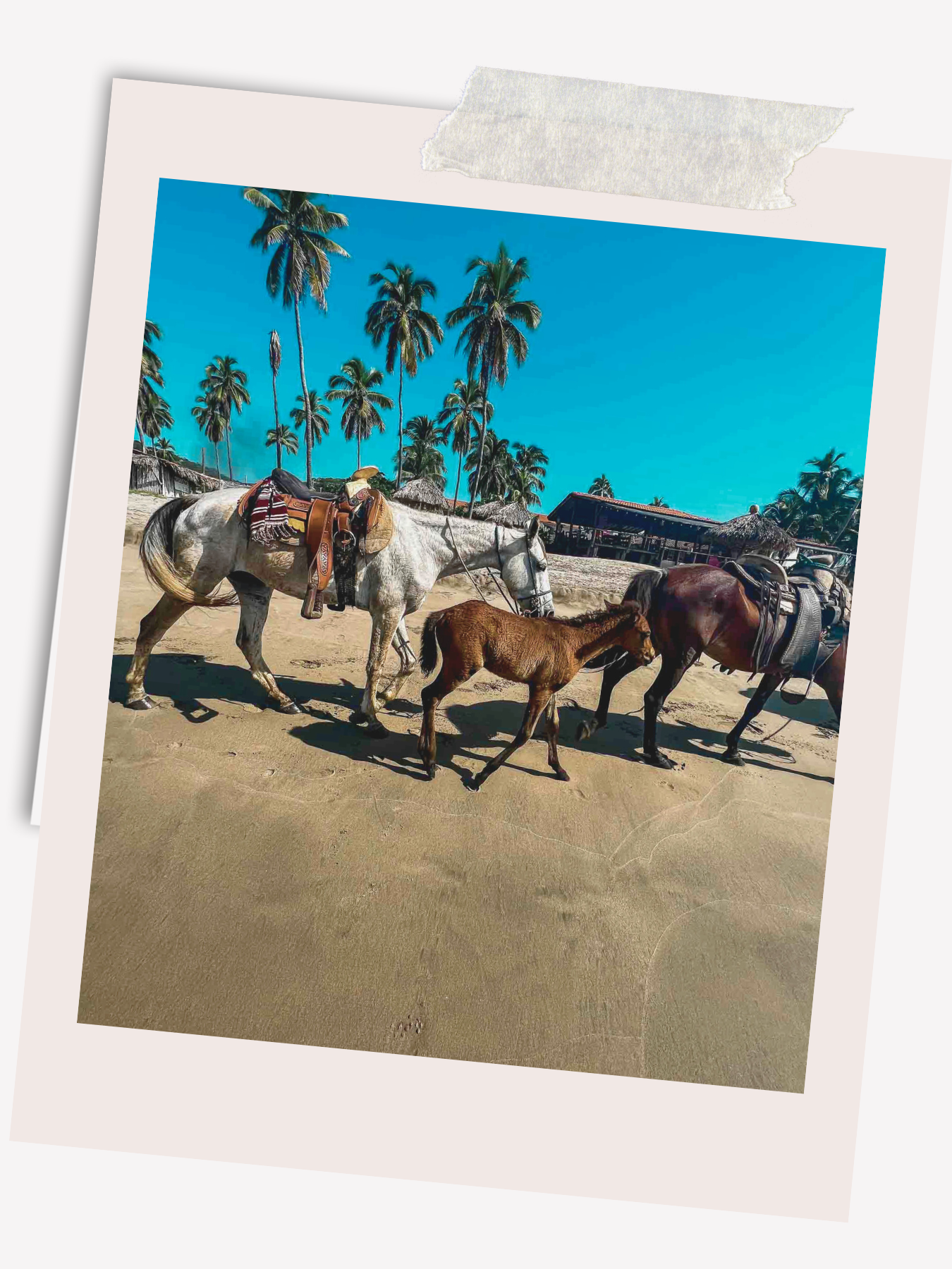 Horseback Riding in Troncones