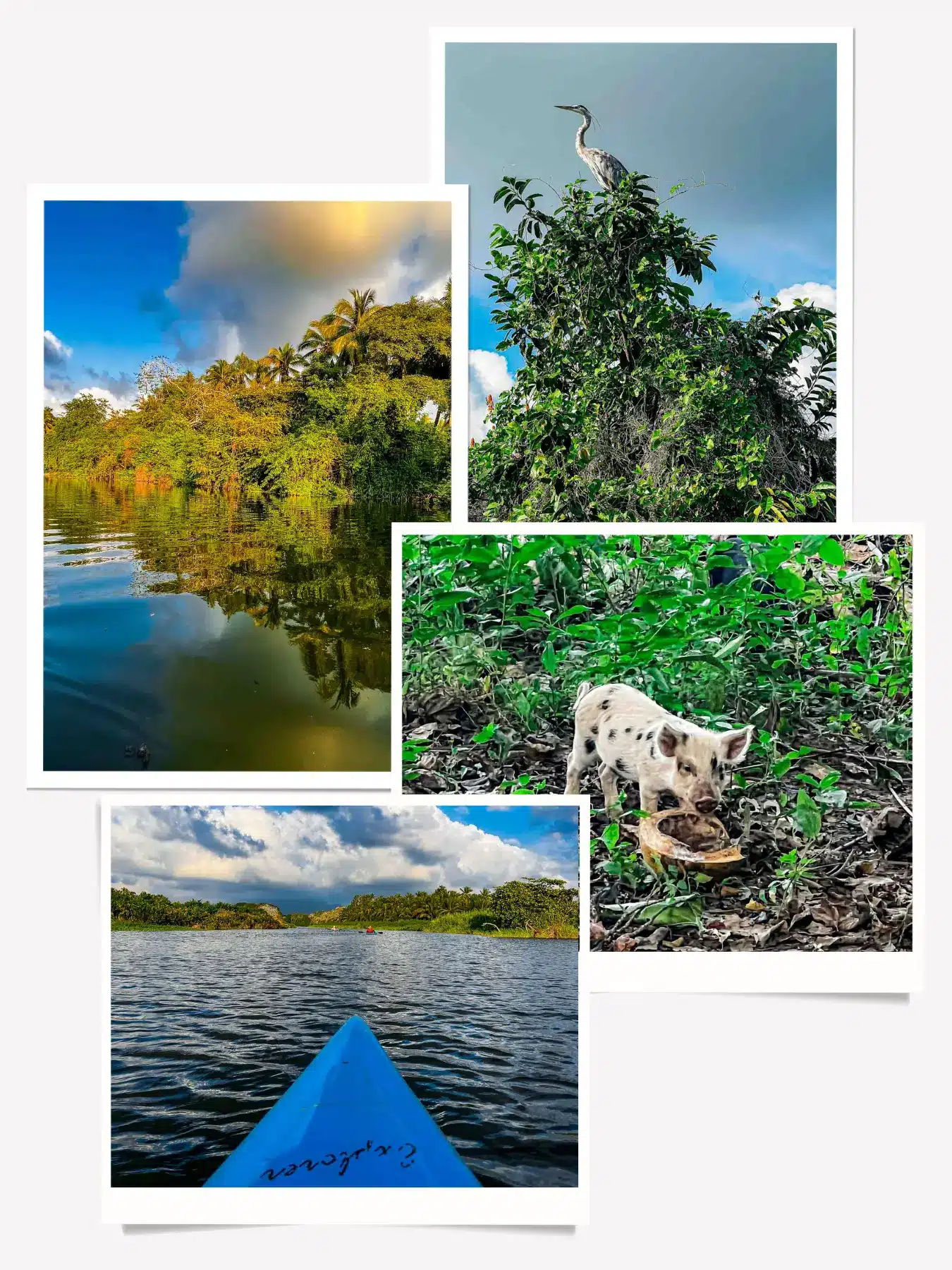 Kayak the Troncones Estuary