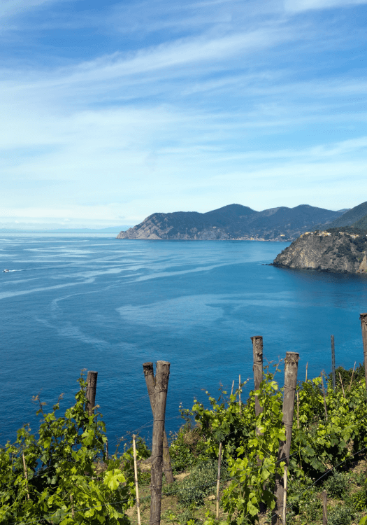 Travel Cinque Terre