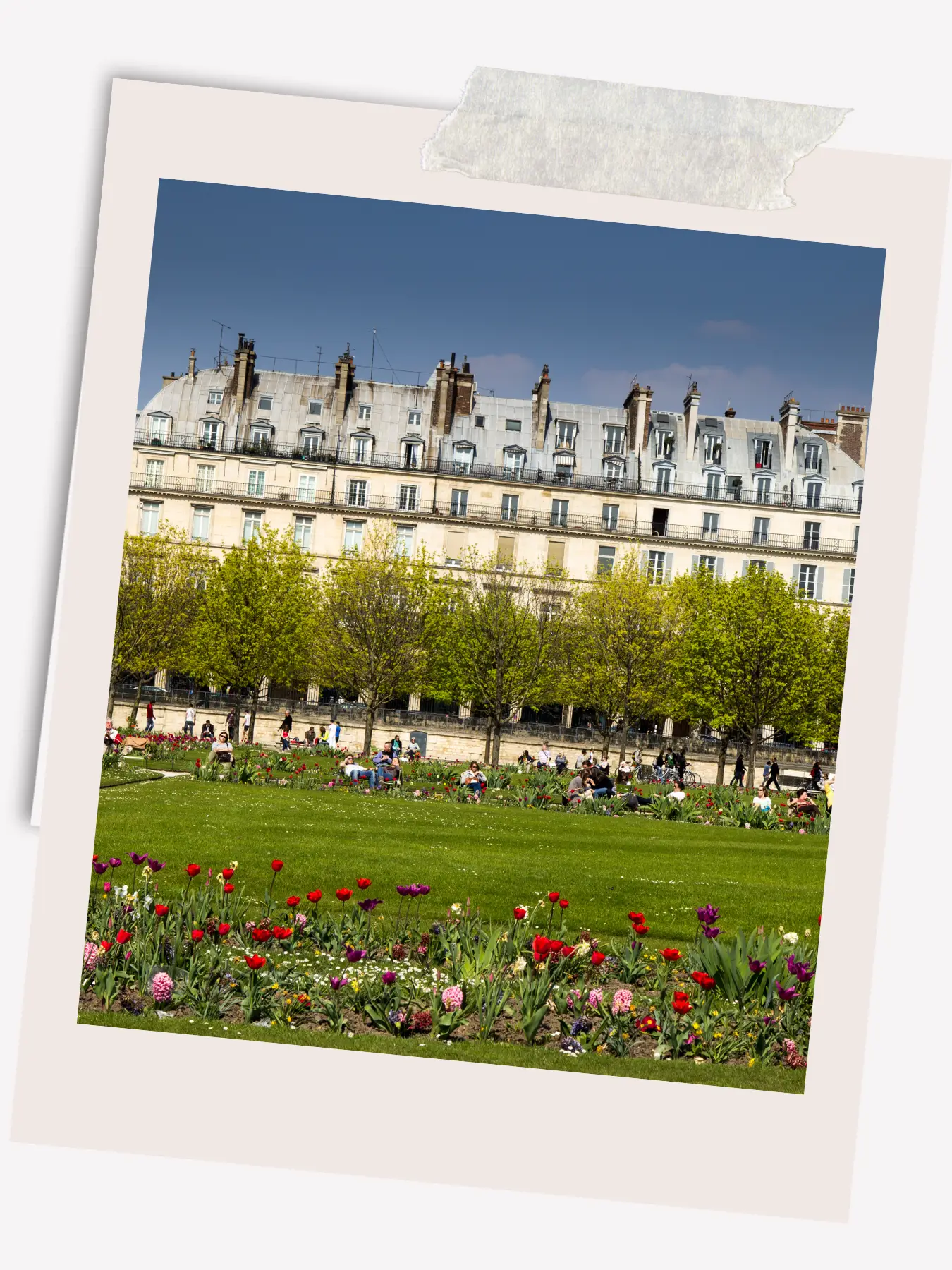 Jardin des Tuileries Tuilerie Gardens