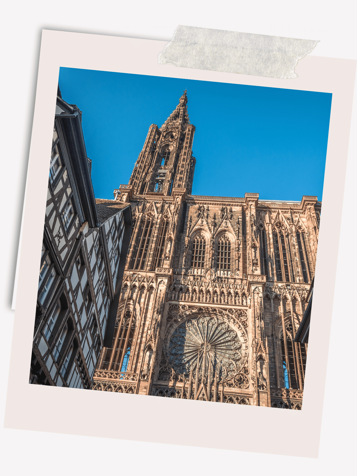 Strasbourg Cathedral