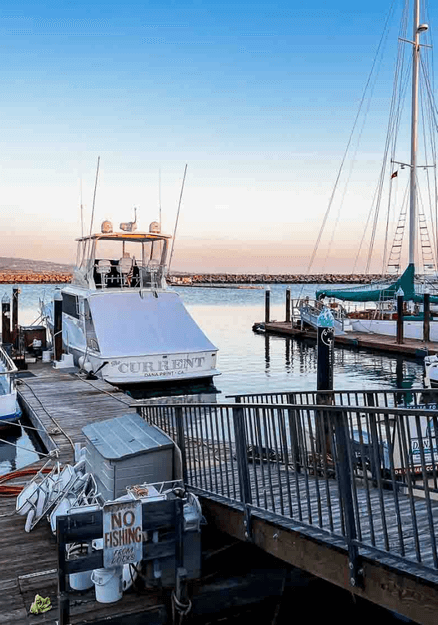 Dana Point, Things to do in Dana Point, Dana Point Harbor, Turkey Trot, Whale Watching