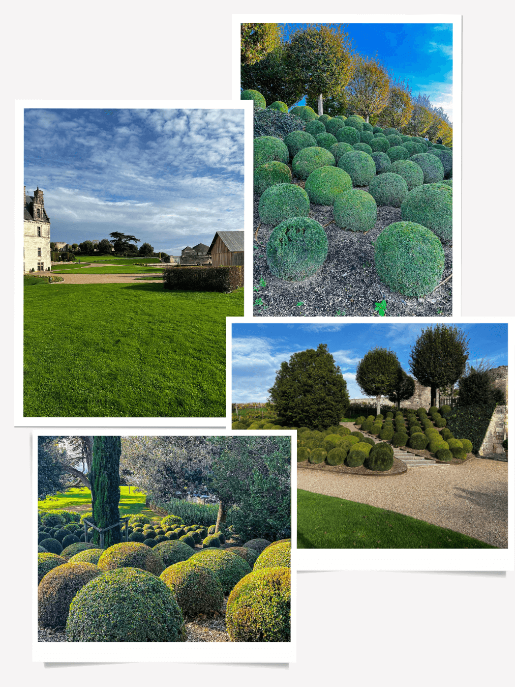 Chateau d'Amboise gardens