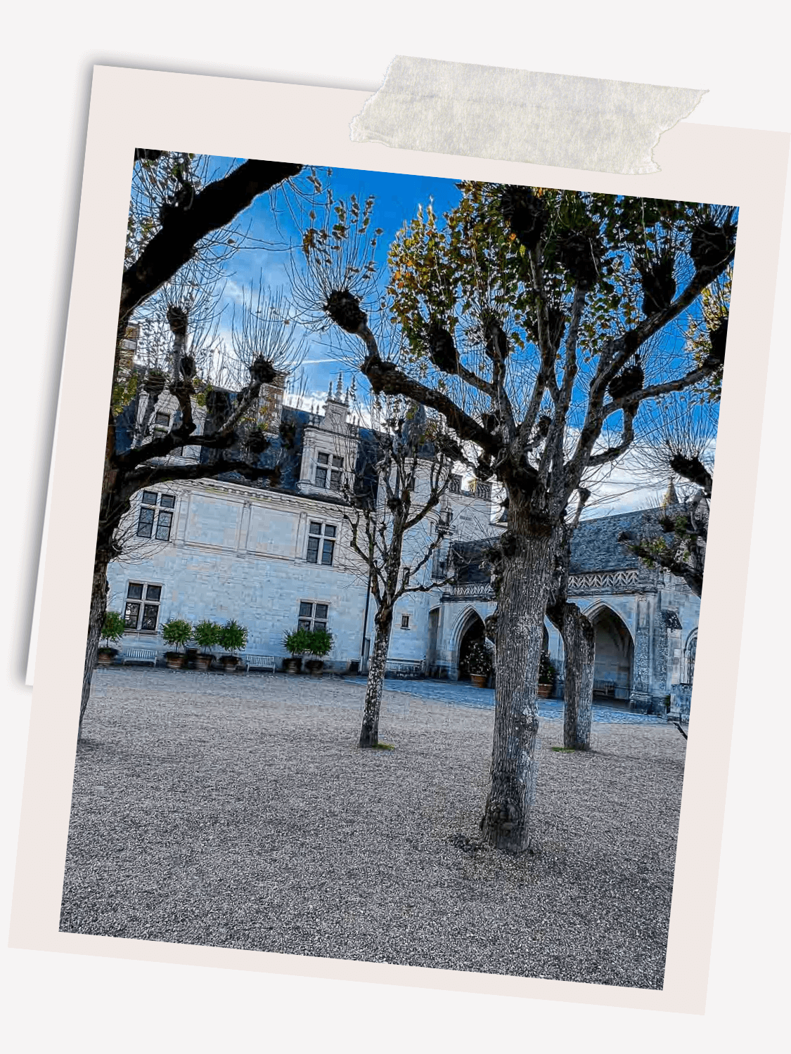 Château d'Amboise 