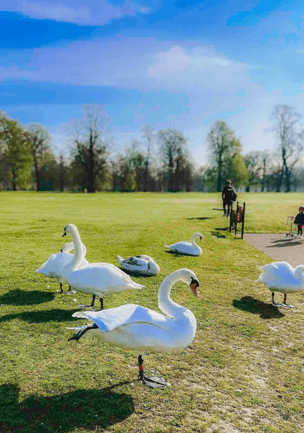 Best things to see in London - Hyde Park