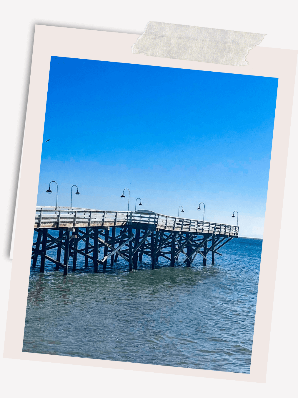 Paradise Cove Pier in Malibu